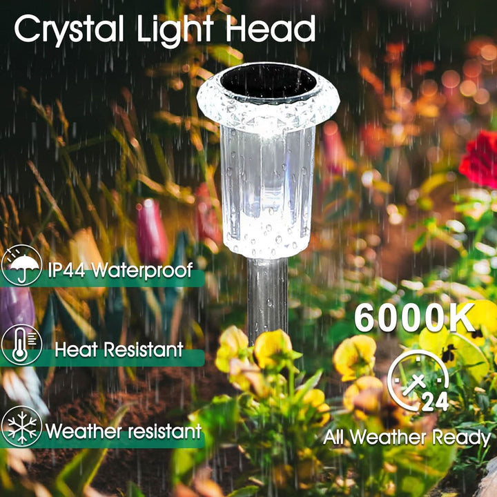 Starlight Solar Path Lights
