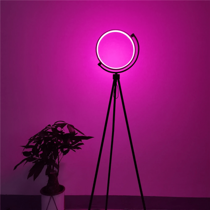 Halo Color Changing Lamp